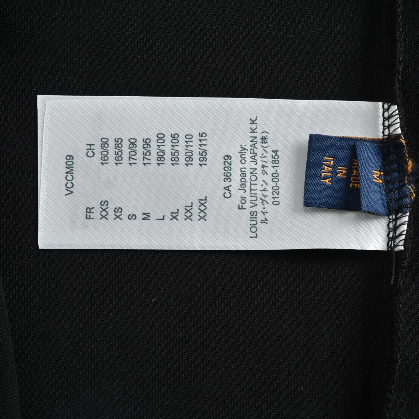Louis Vuitton/Louis Vuitton short sleeves with front and rear letter logo embroidery